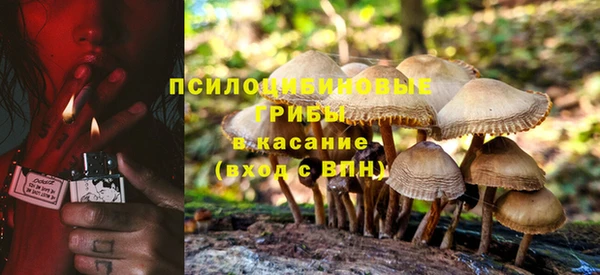 таблы Осташков