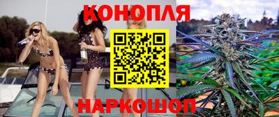 ешки Кингисепп