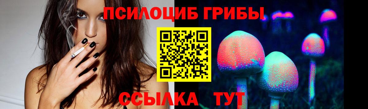 Псилоцибиновые грибы Cubensis Ханты-Мансийск